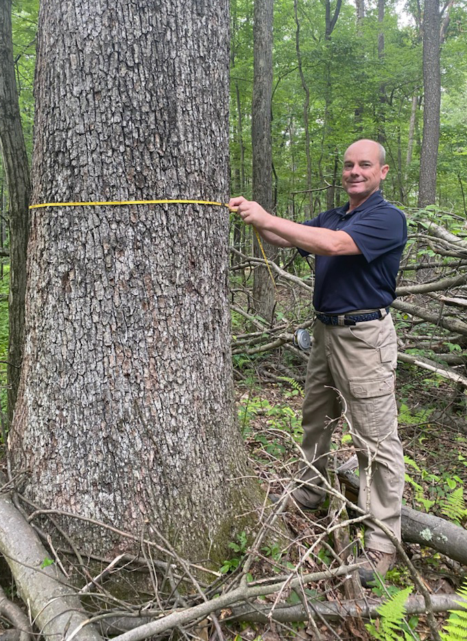 Terry Neal Terry Neal