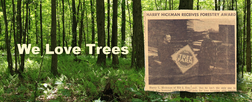 We Love Trees We Love Trees