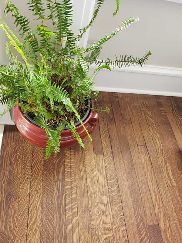 ADD-Characteristics_-White-Oak-QuarteredOnly
