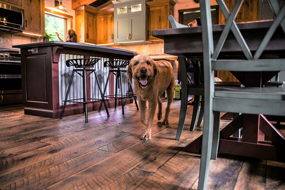 White-Oak-Live-Sawn-Random-Width with Dog Standing on the Floor