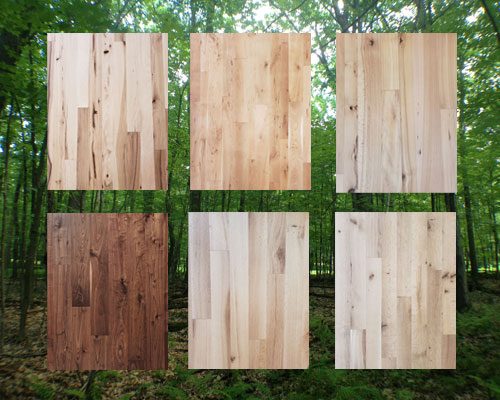 Choose your species page image